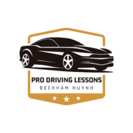 Professional Driving Instructor